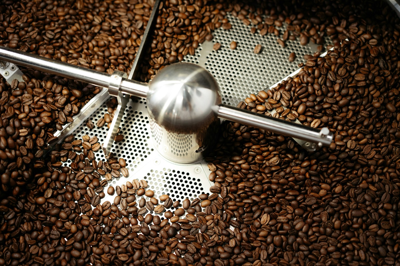Fresh coffee beans cooling in a roasting machine